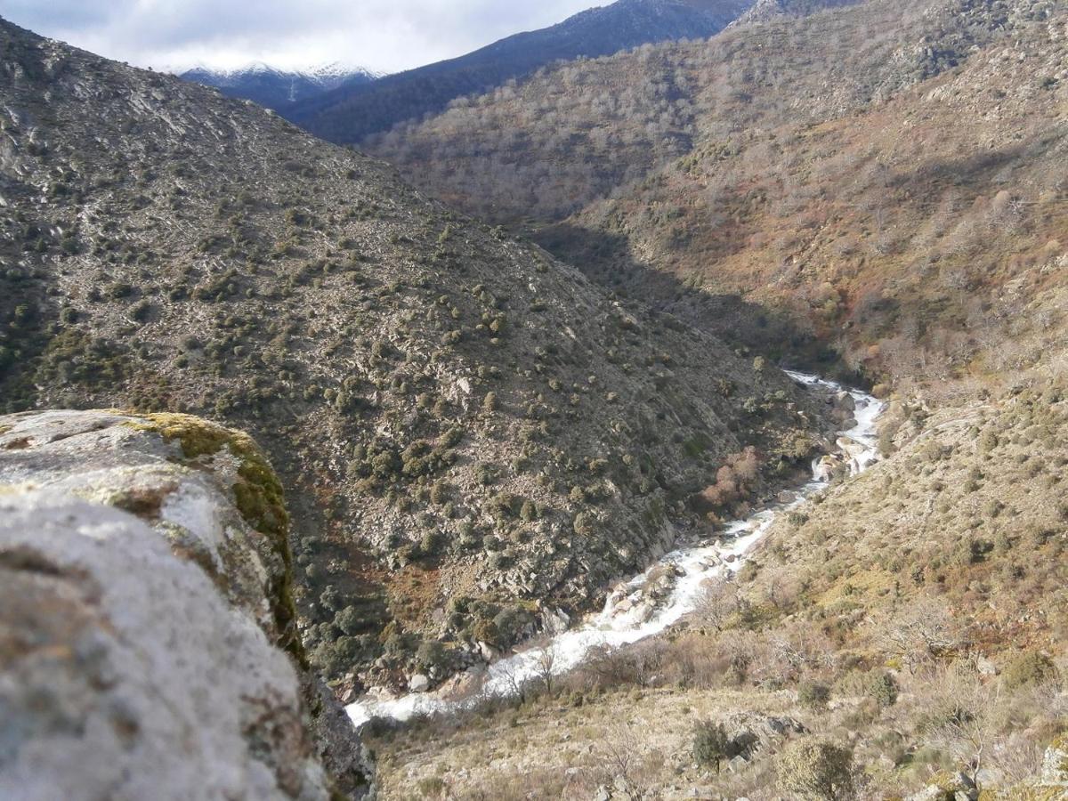Casa Sebastiana Daire Losar De La Vera Dış mekan fotoğraf